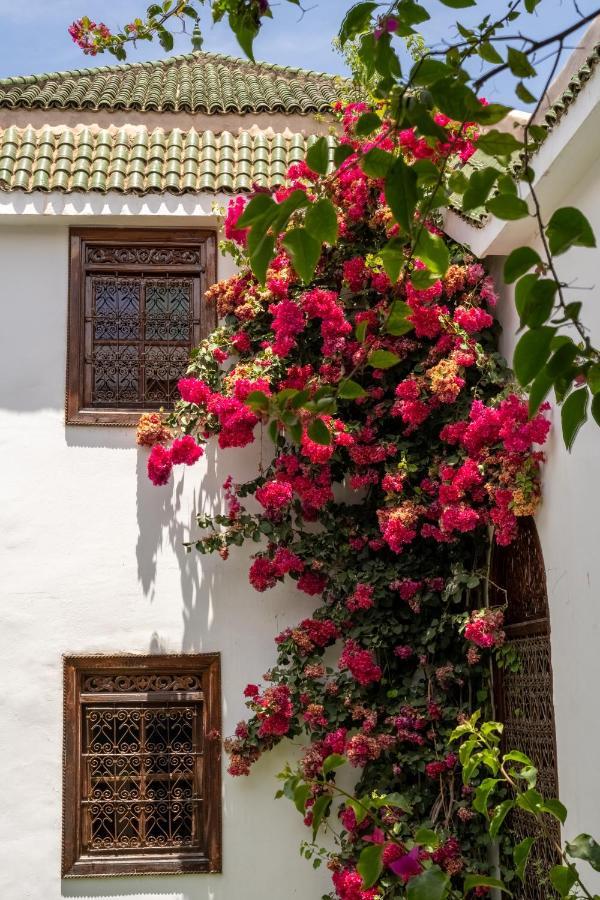 Riad Alma Марракеш Екстер'єр фото