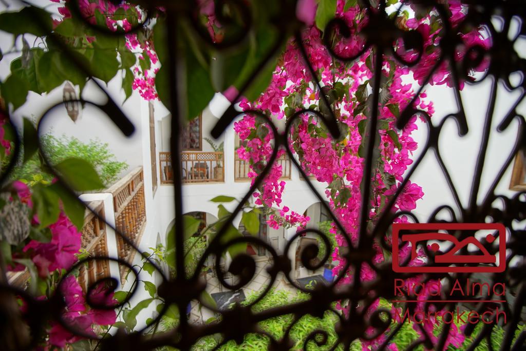 Riad Alma Марракеш Екстер'єр фото